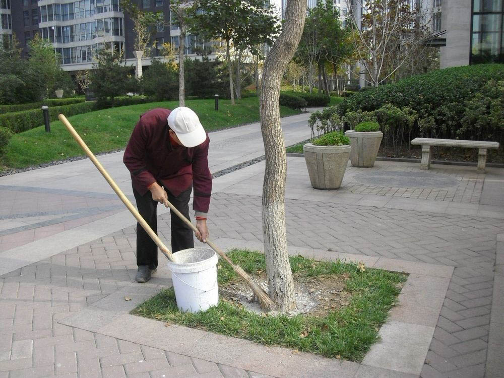 上海小区景观养护工程