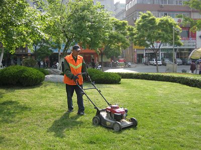 上海景观养护工程