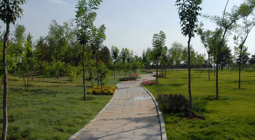 宁波公园绿化景观设计公司