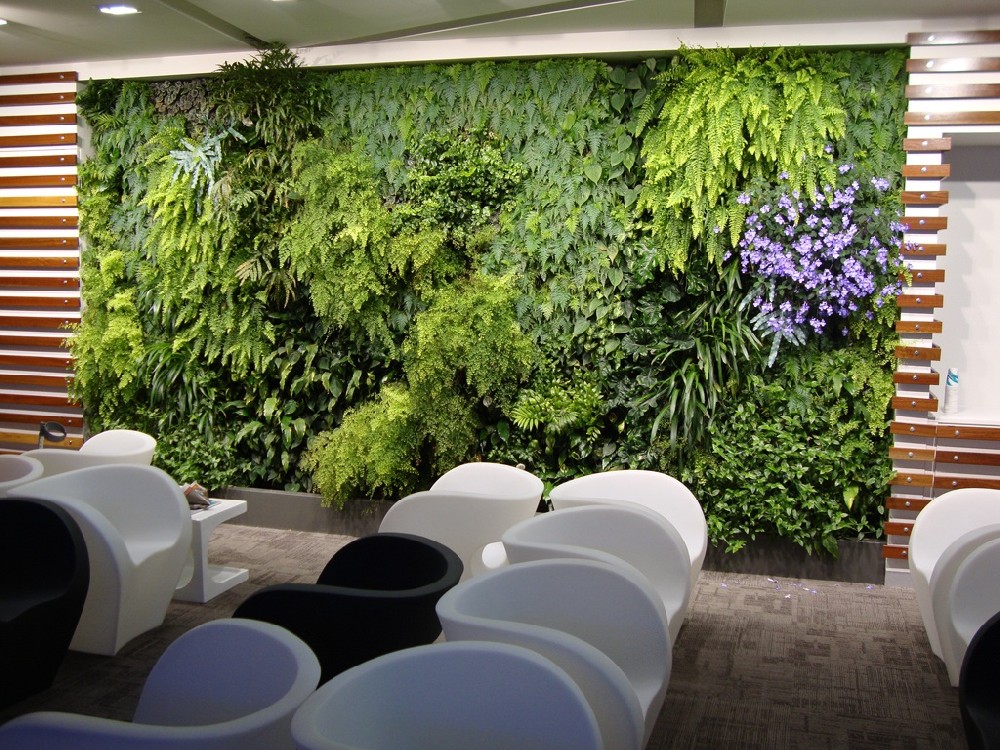 上海植物墙、上海植物墙设计、上海植物墙工程公司