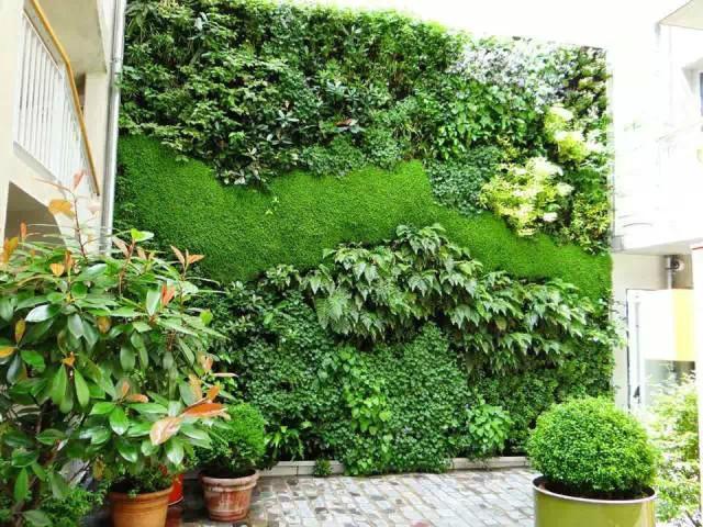 上海垂直绿化公司、上海垂直绿化设计