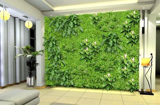 立体绿化、上海立体绿化、上海墙面立体绿化